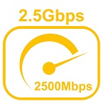 2,5 Gbps